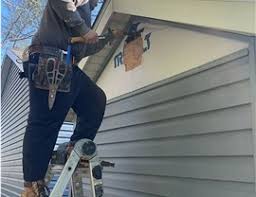 Best Fascia and Soffit Installation  in Howard Lake, MN